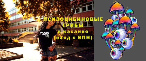 ECSTASY Алексеевка