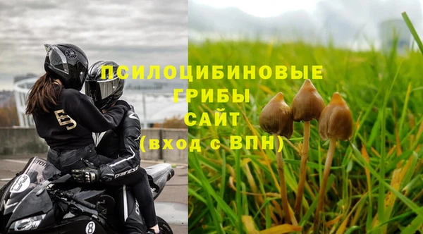 ECSTASY Алексеевка