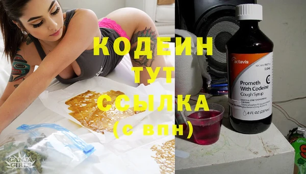 крисы Абаза