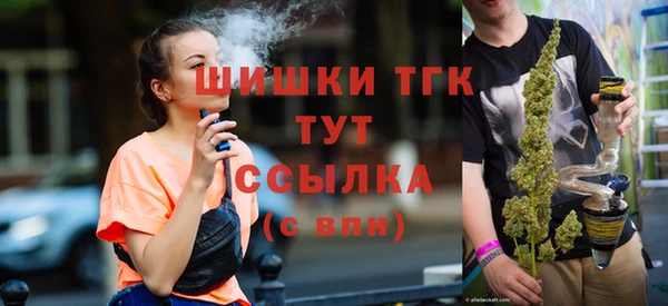 MESCALINE Гатчина