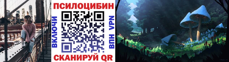 Галлюциногенные грибы Psilocybe продажа наркотиков Зуевка